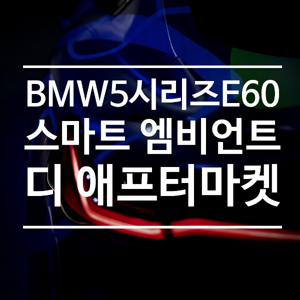 [체크아웃] BMW 5시리즈 E60 전용 리츠 스마트 엠비언트 라이트 시공