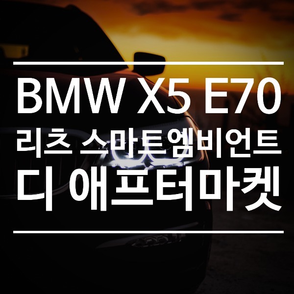 [체크아웃] BMW E70 X5 전용 리츠 스마트 엠비언트 시공