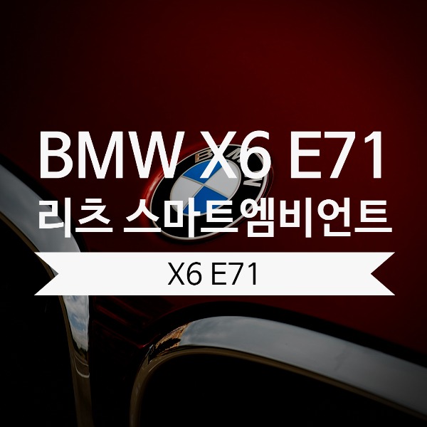 [체크아웃] BMW E71 X6 전용 리츠 스마트 엠비언트 시공