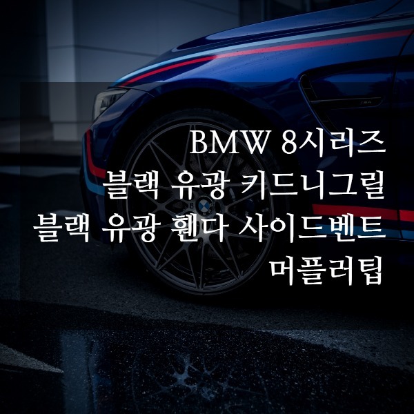 [체크아웃] BMW G14 G15 G16 8시리즈 전용 키드니그릴 + 머플러 + 휀다 사이드벤트 시공