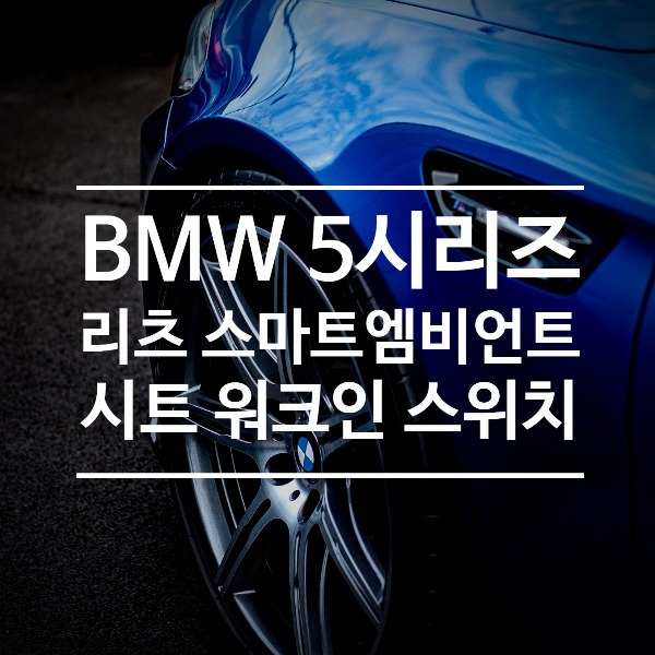 [체크아웃] BMW F10 5시리즈 전용 리츠 스마트 엠비언트 + 시트 워크인 스위치 시공