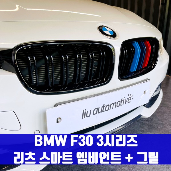 [체크아웃] BMW F30 3시리즈 리츠 스마트 엠비언트 + 그릴