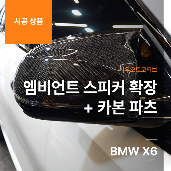 BMW X6 엠비언트 스피커 확장 + 카본 파츠 스포일러 미러 도어
