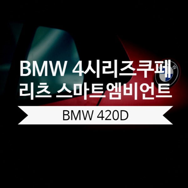 [체크아웃] BMW 4시리즈 쿠페 420d 전용 리츠 스마트 엠비언트 시공