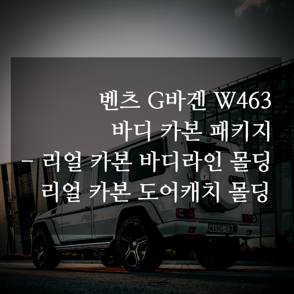 [체크아웃] 벤츠 W463 G바겐 전용 바디 카본패키지 시공 (카본바디라인 + 카본손잡이) G350 G63