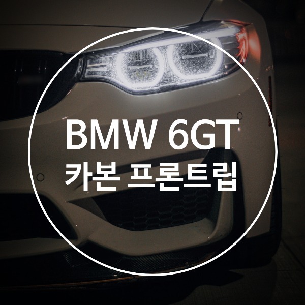 [체크아웃] BMW G32 6시리즈GT 6GT 전용 퍼포먼스 카본 프론트립 에어댐