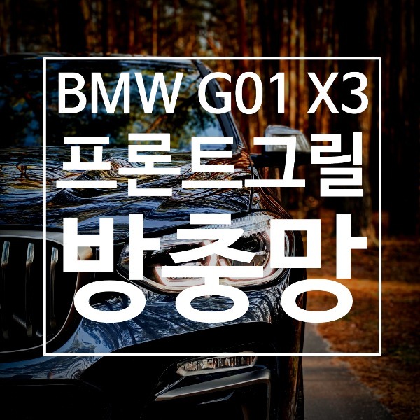 [체크아웃] BMW G01 신형 X3 전용 프론트 그릴 방충망 시공